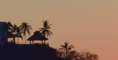 PLAYLIST: verano tropical