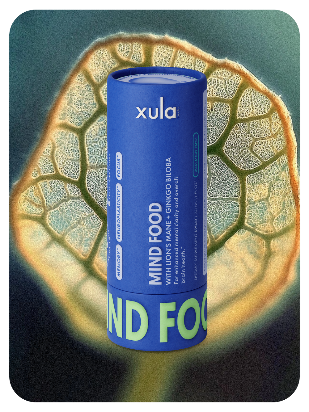 MIND FOOD