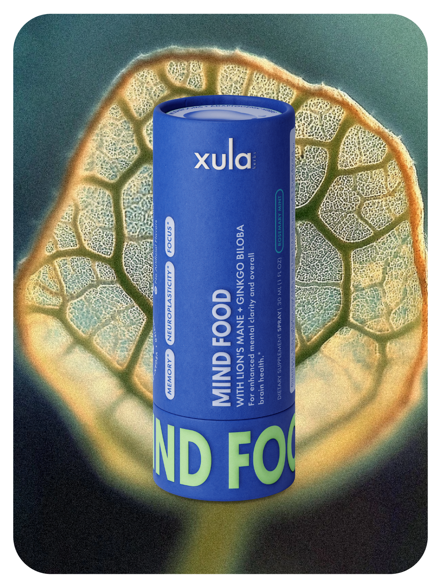 MIND FOOD