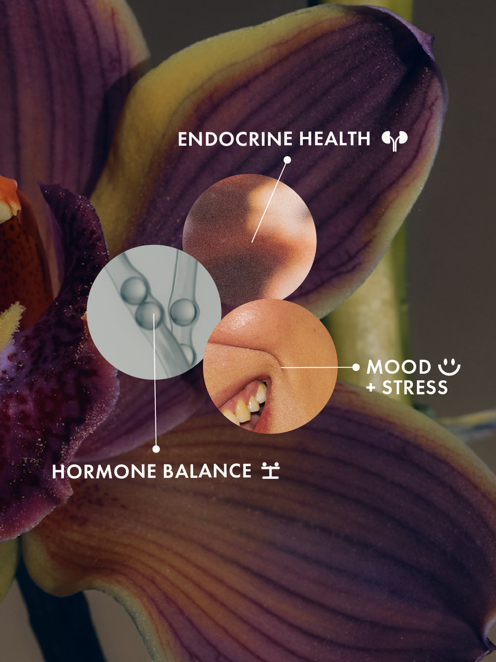 happy hormones (mhm!)