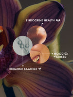 happy hormones (mhm!)