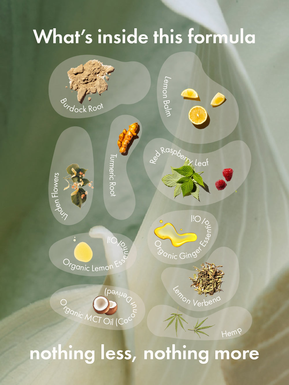 happy hormones (mhm!)