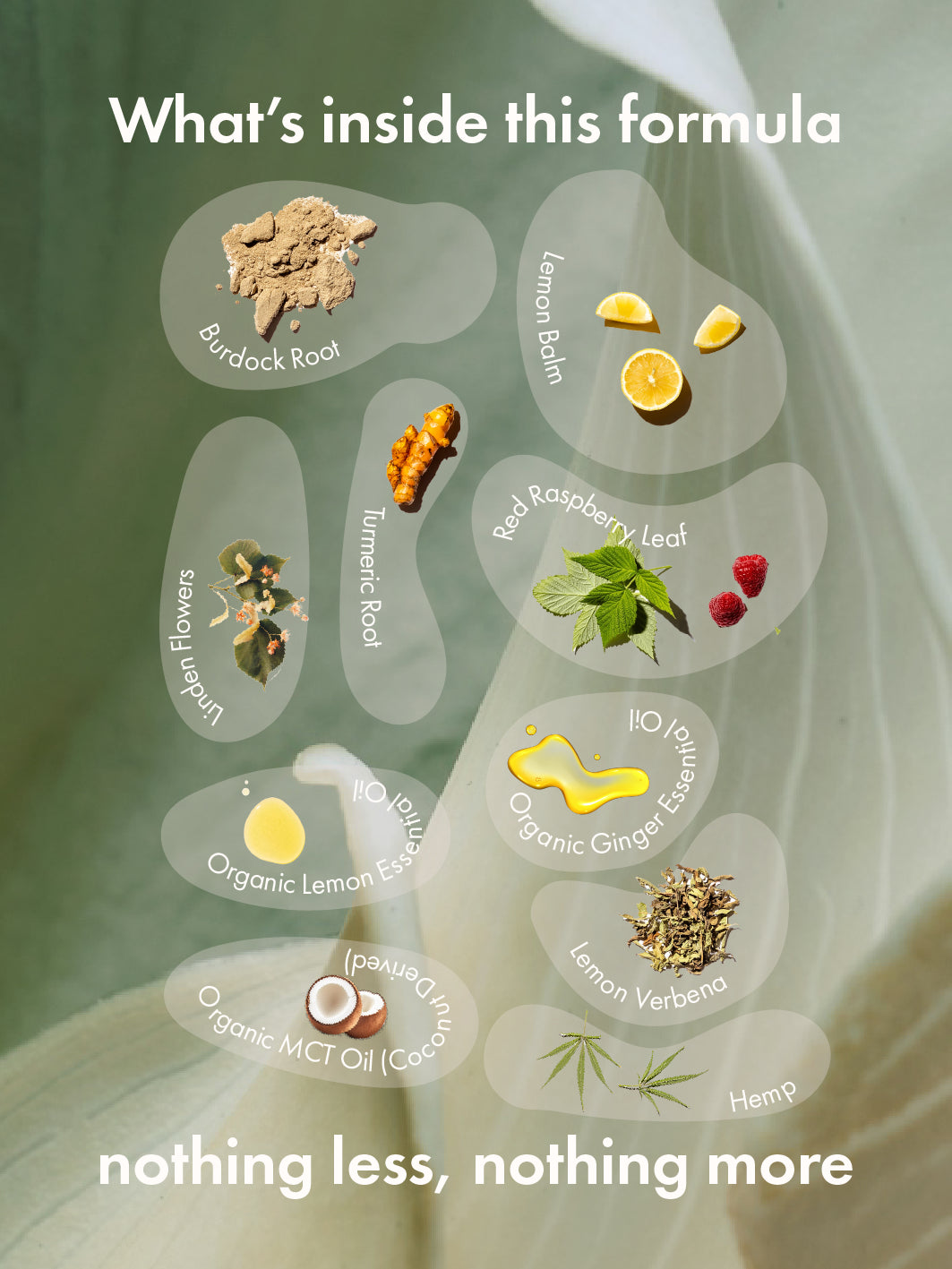 happy hormones (mhm!)