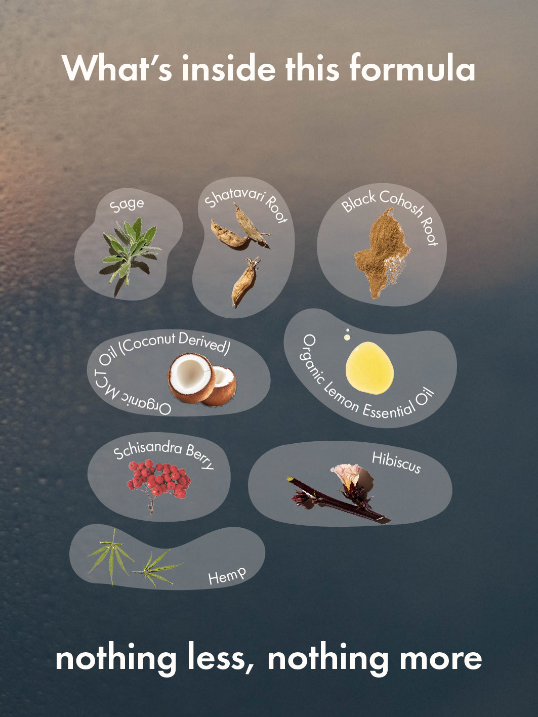 moon-a-pause (whew!)