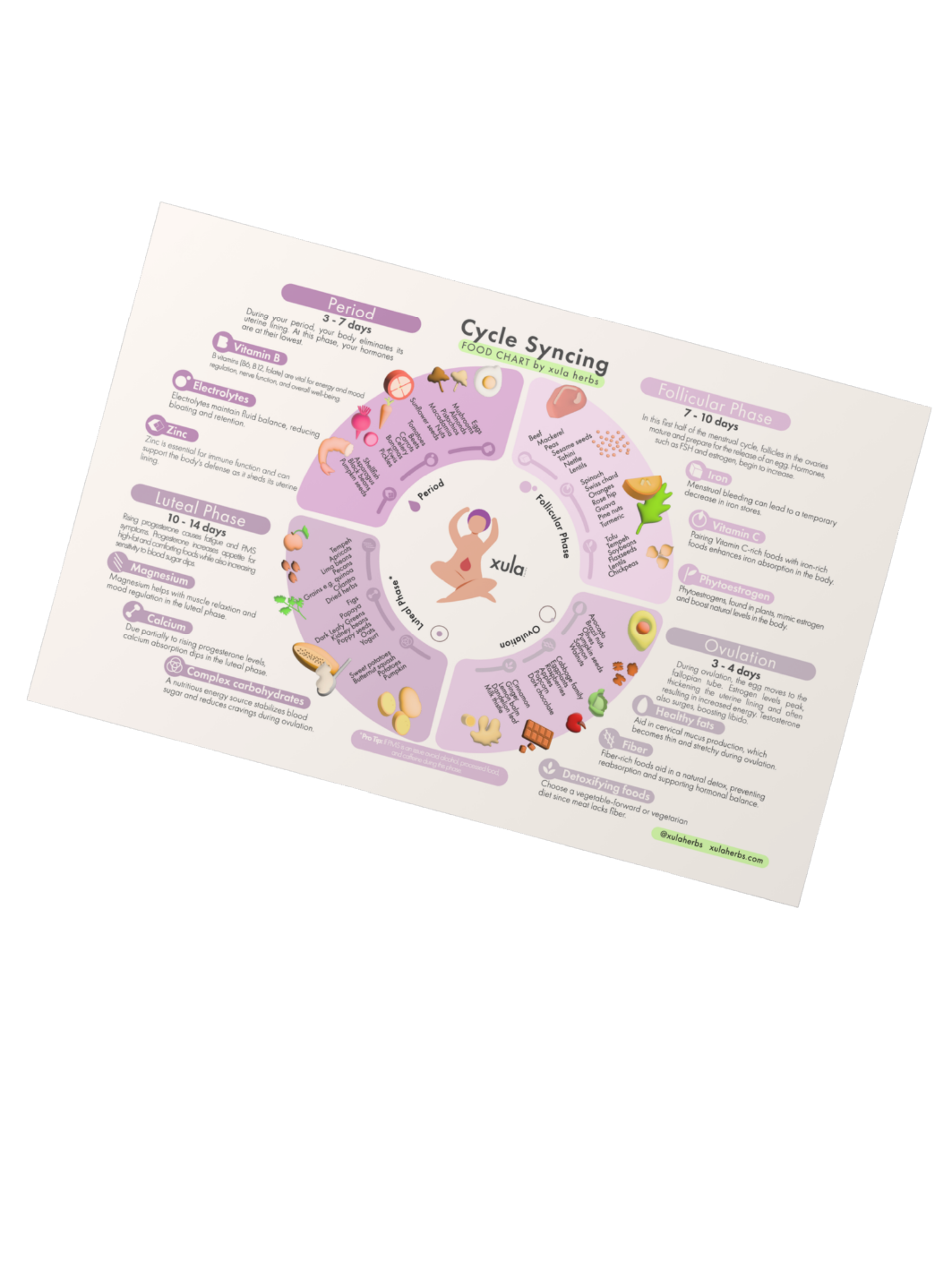 cycle syncing food chart modern herb shop Xula Herbs