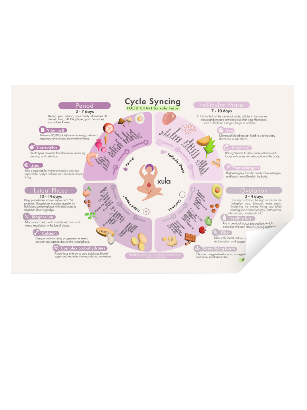 cycle syncing food chart