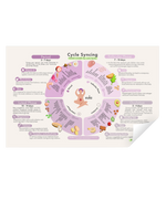cycle syncing food chart