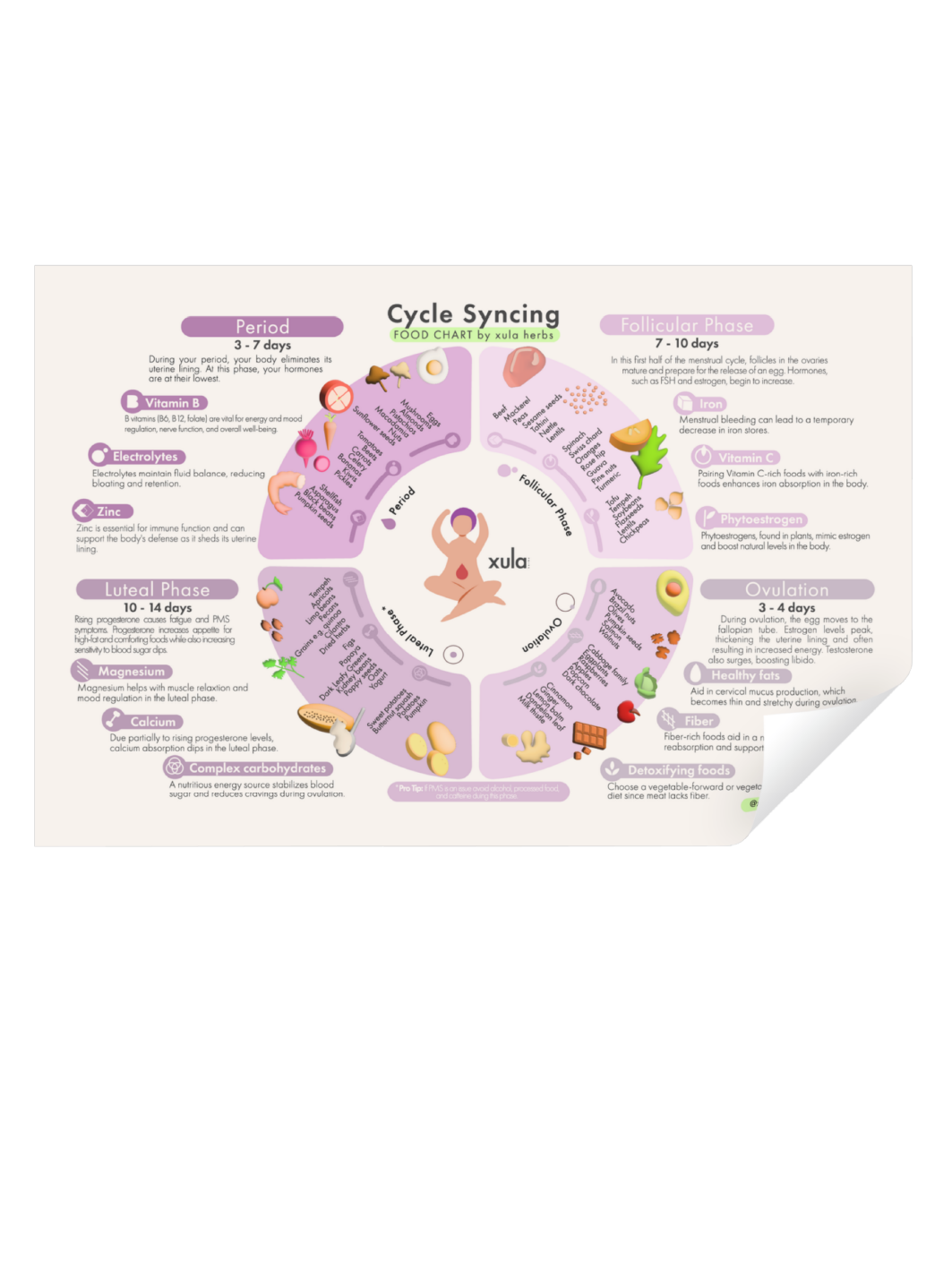 cycle syncing food chart modern herb shop Xula Herbs