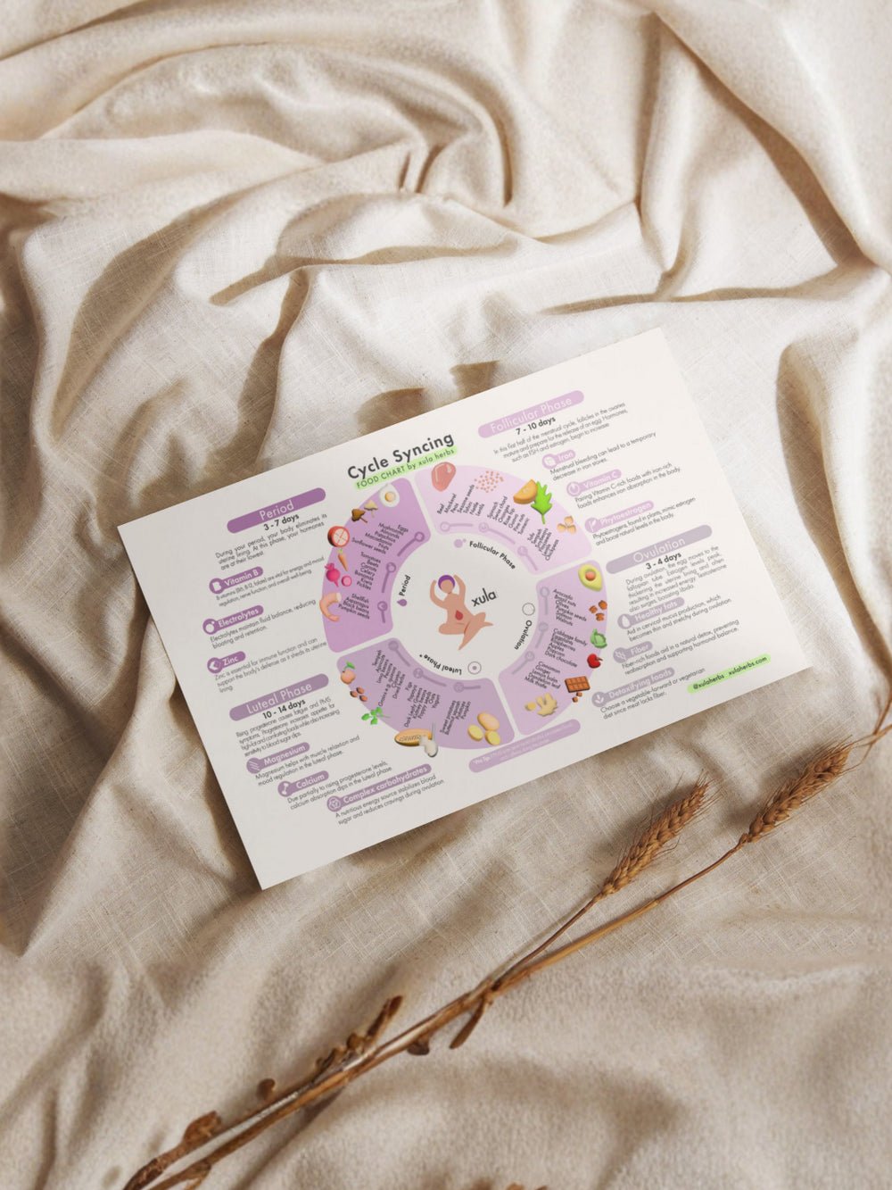 cycle syncing food chart